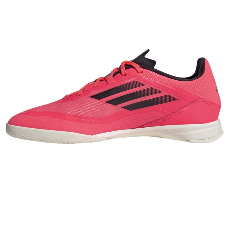 2_IF1331.jpg